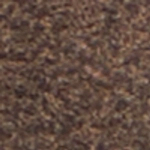 Most Expensive Chelsea Boots Ashtynn