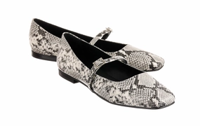 Waterproof Mtb Flat Shoes Dan Cobra