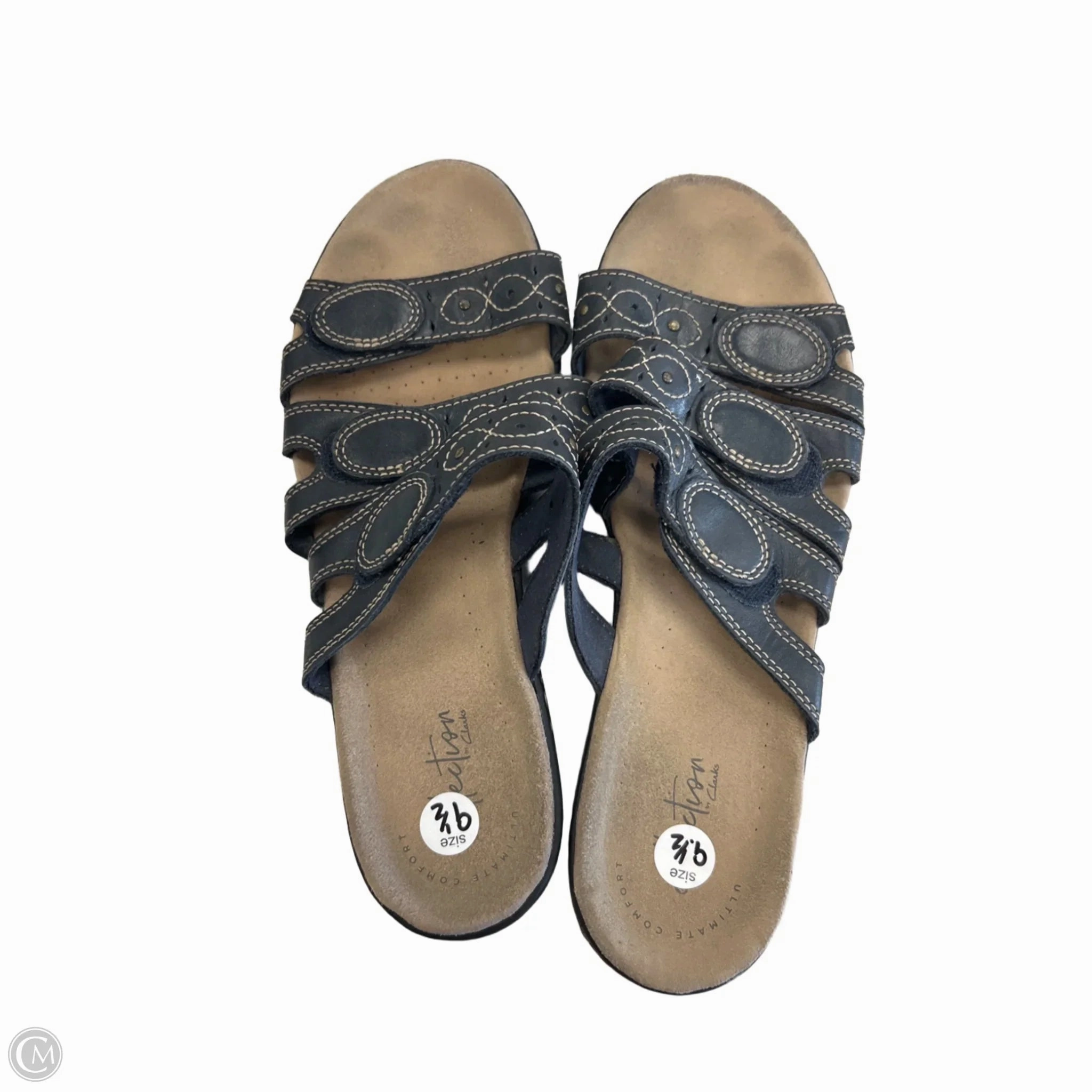 Sandals Flip Flops By Clarks In Blue, Size: 9.5 Walking Paws Flip Flops