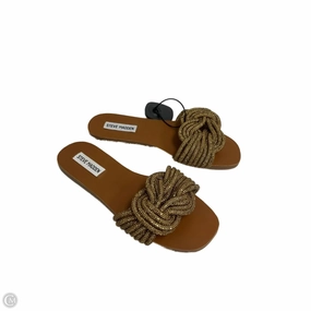 Business Flip Flops Sandals Flip Flops By Steve Madden In Bronze, Size: 7