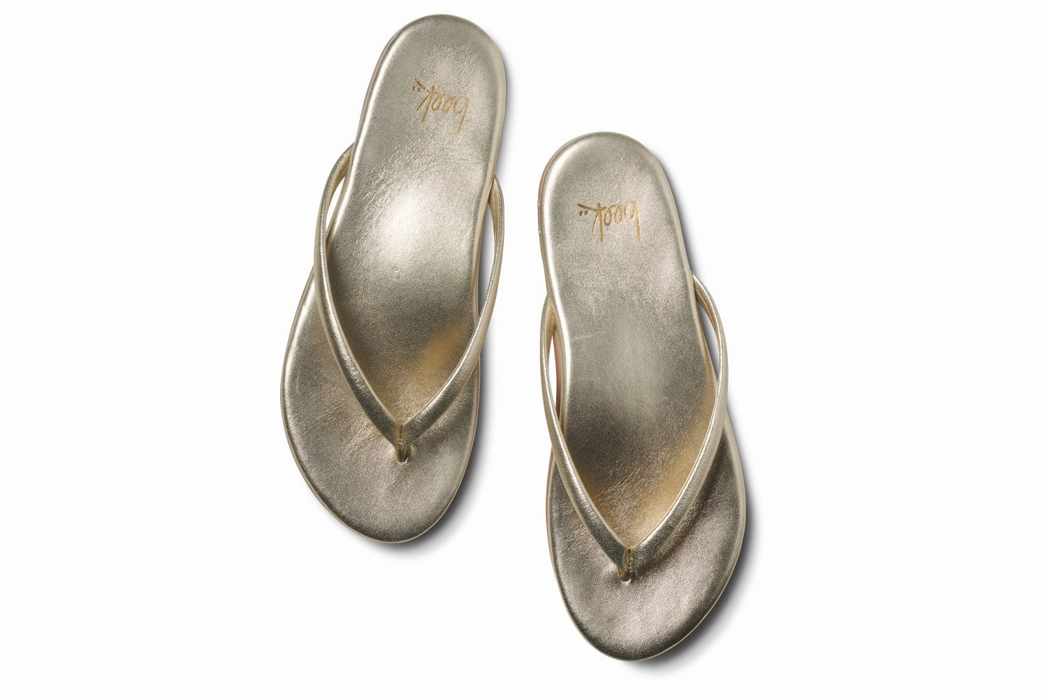 Steelers Flip Flops SUNBEAM - Platinum