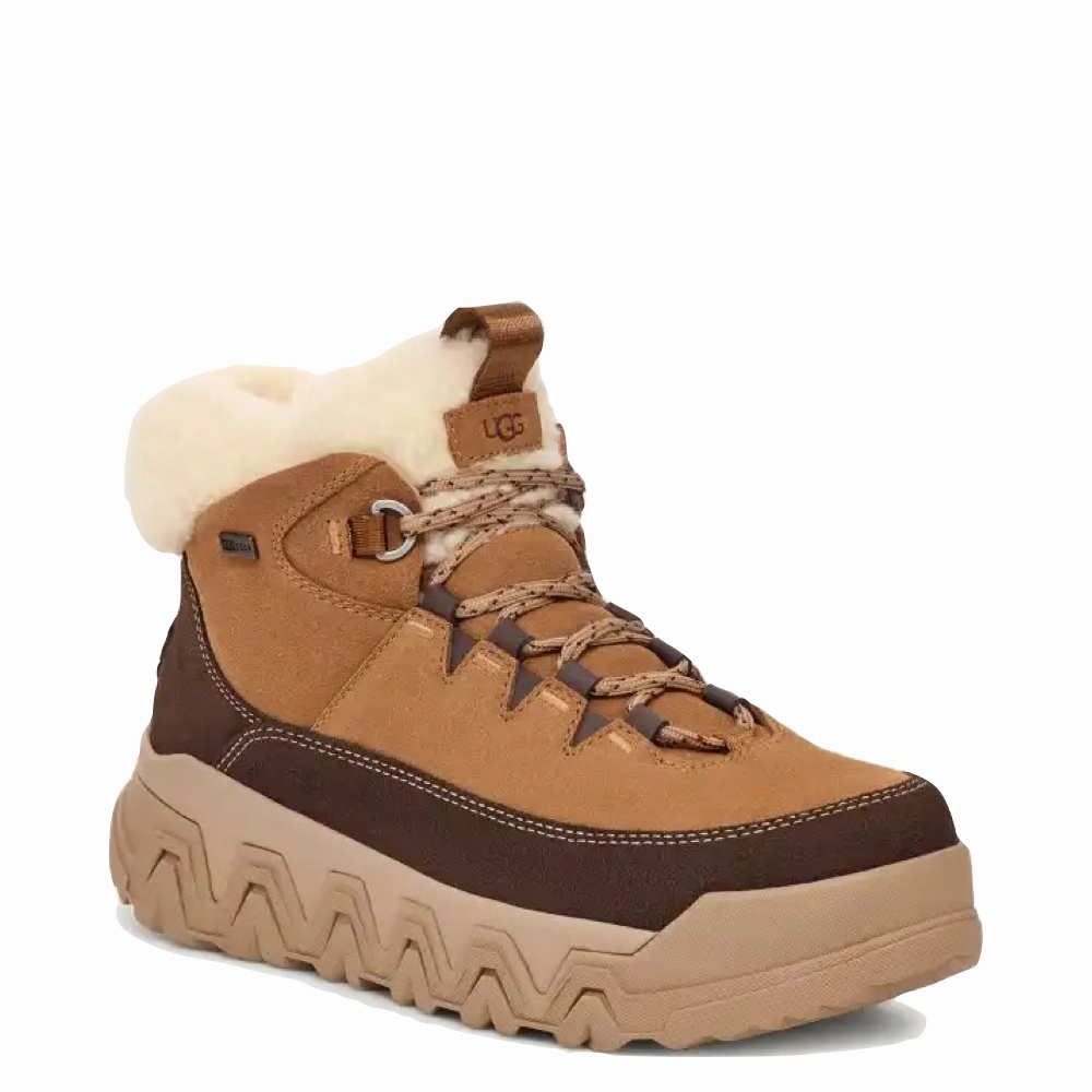 Sorel Buxton Lace Snow Boot UGG Women's TerreTrail Cozy Lace Waterproof Boot in Chestnut