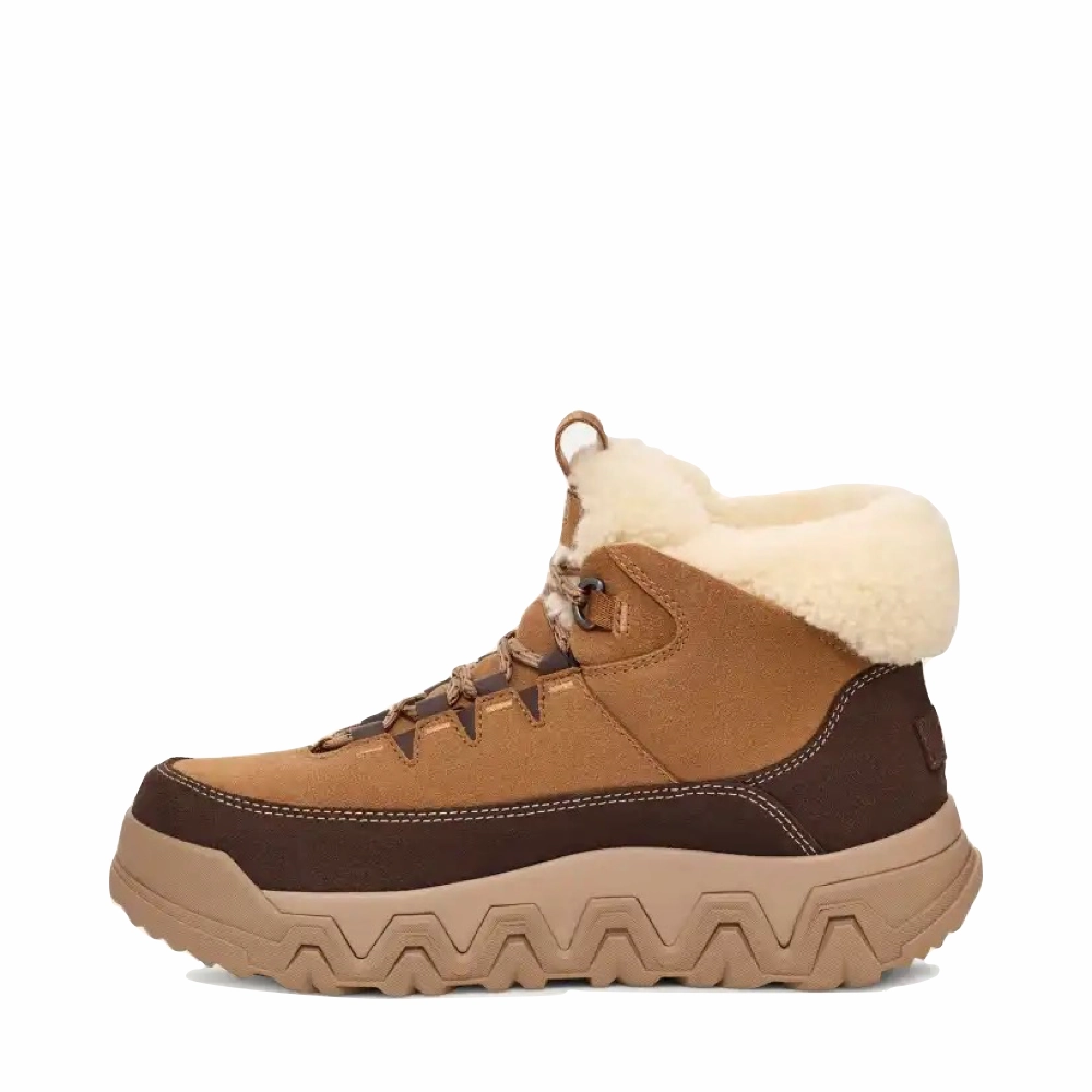 Cougar Snow Boot UGG Women's TerreTrail Cozy Lace Waterproof Boot in Chestnut
