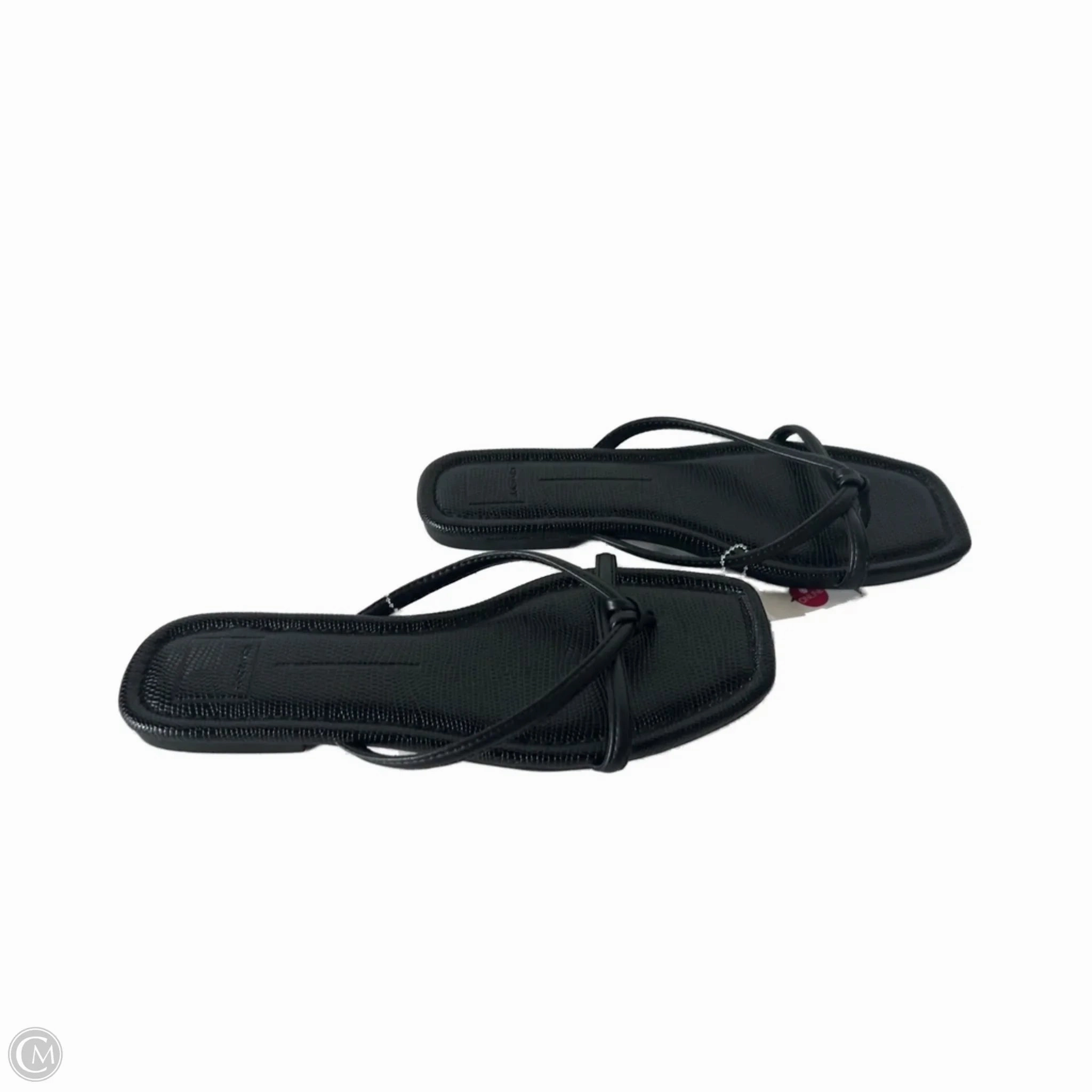 Flip Flops Rei Sandals Flip Flops By Dolce Vita In Black, Size: 11
