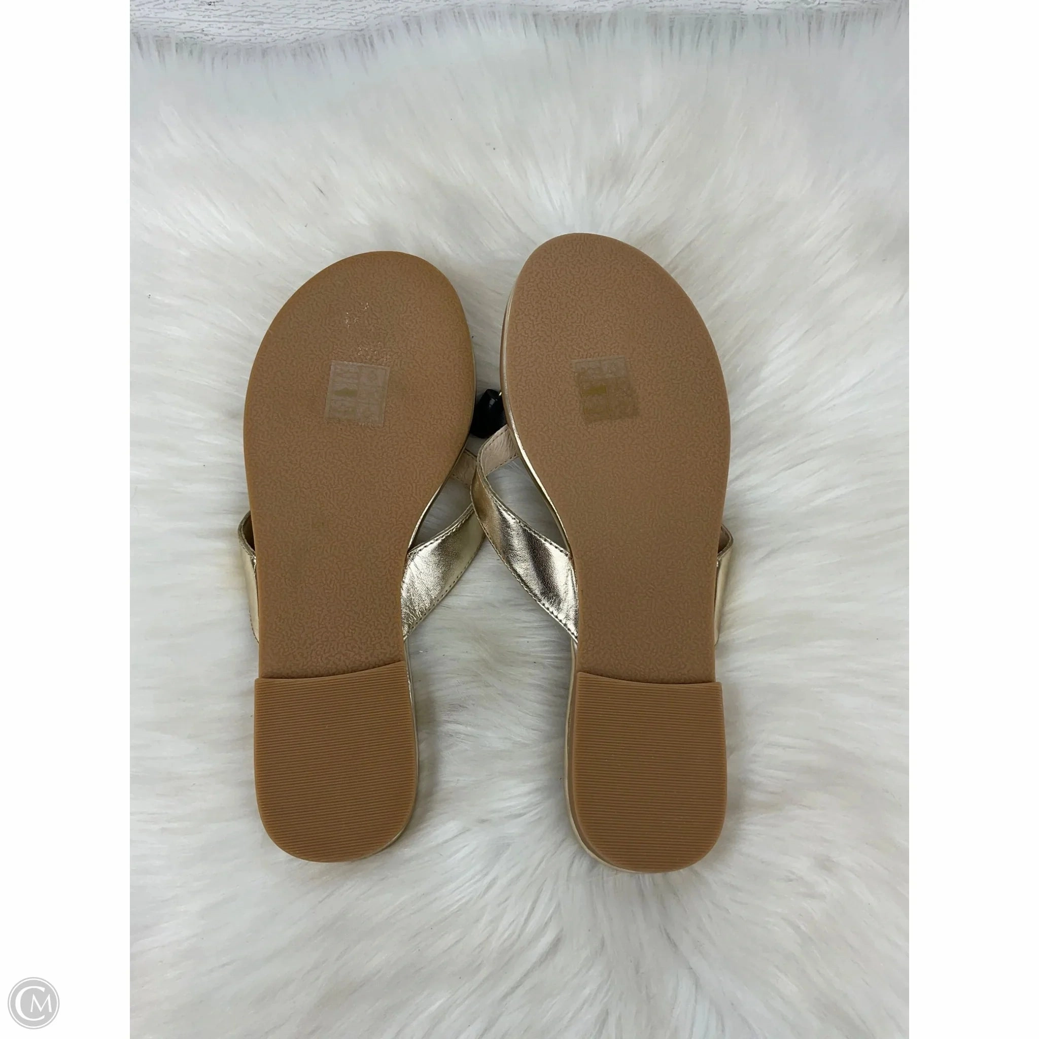 Rider Grendene Flip Flops Sandals Flip Flops By Jack Rogers In Gold, Size: 8.5