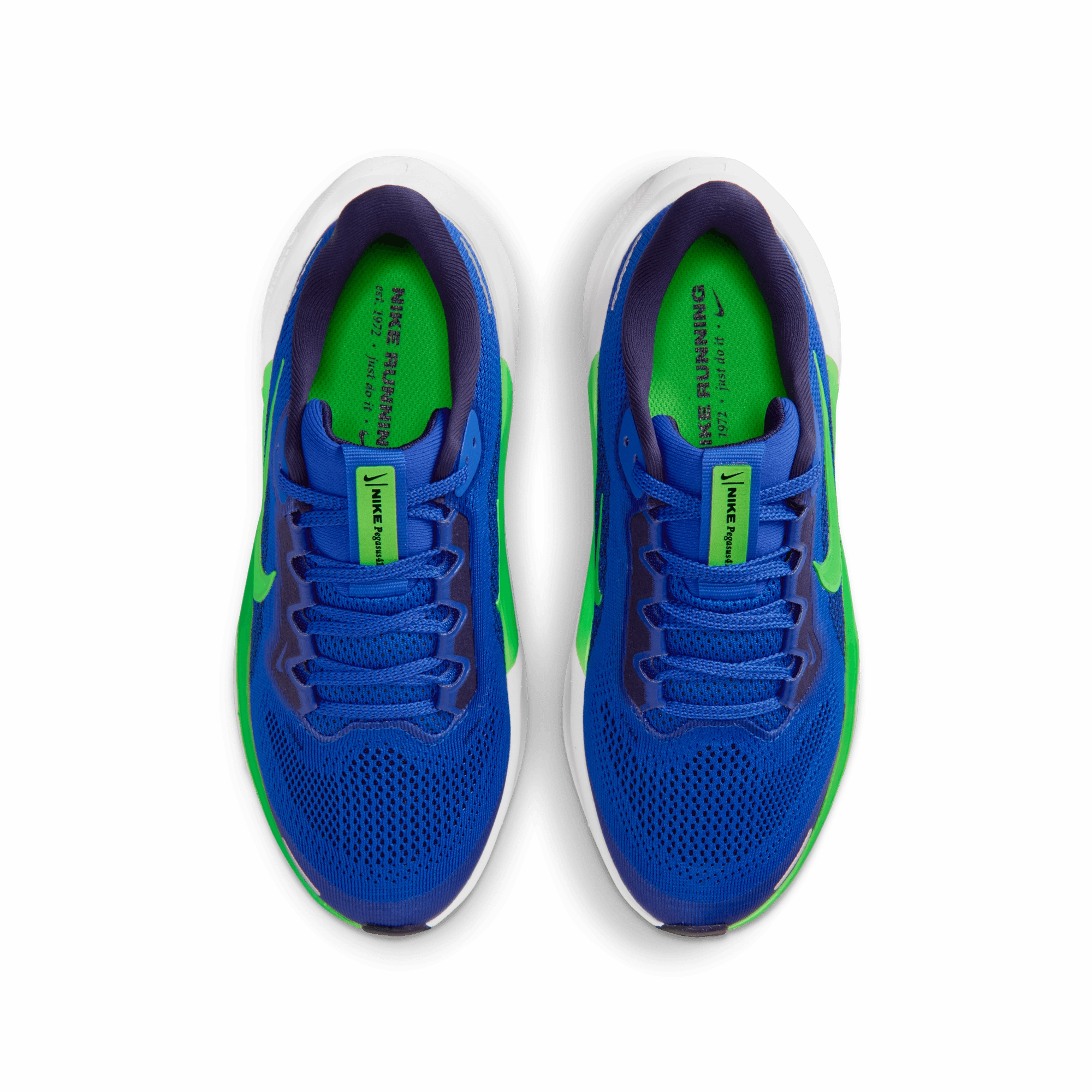 Youth Nike Shoes On Sale KID'S PEGASUS 41 - RACER BLUE/GREEN STRIKE