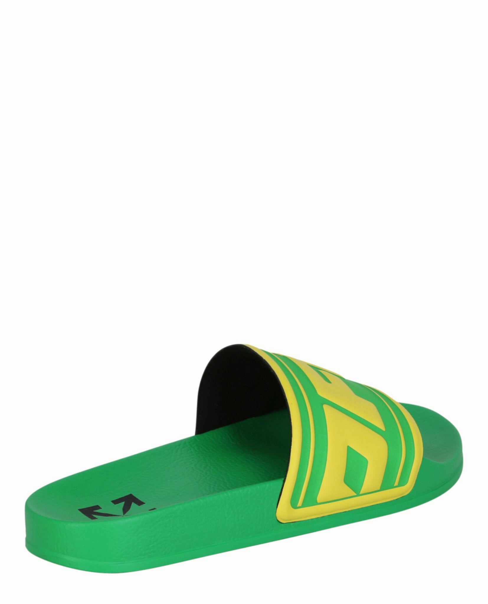 Logo Pool Slides Benassi Slides