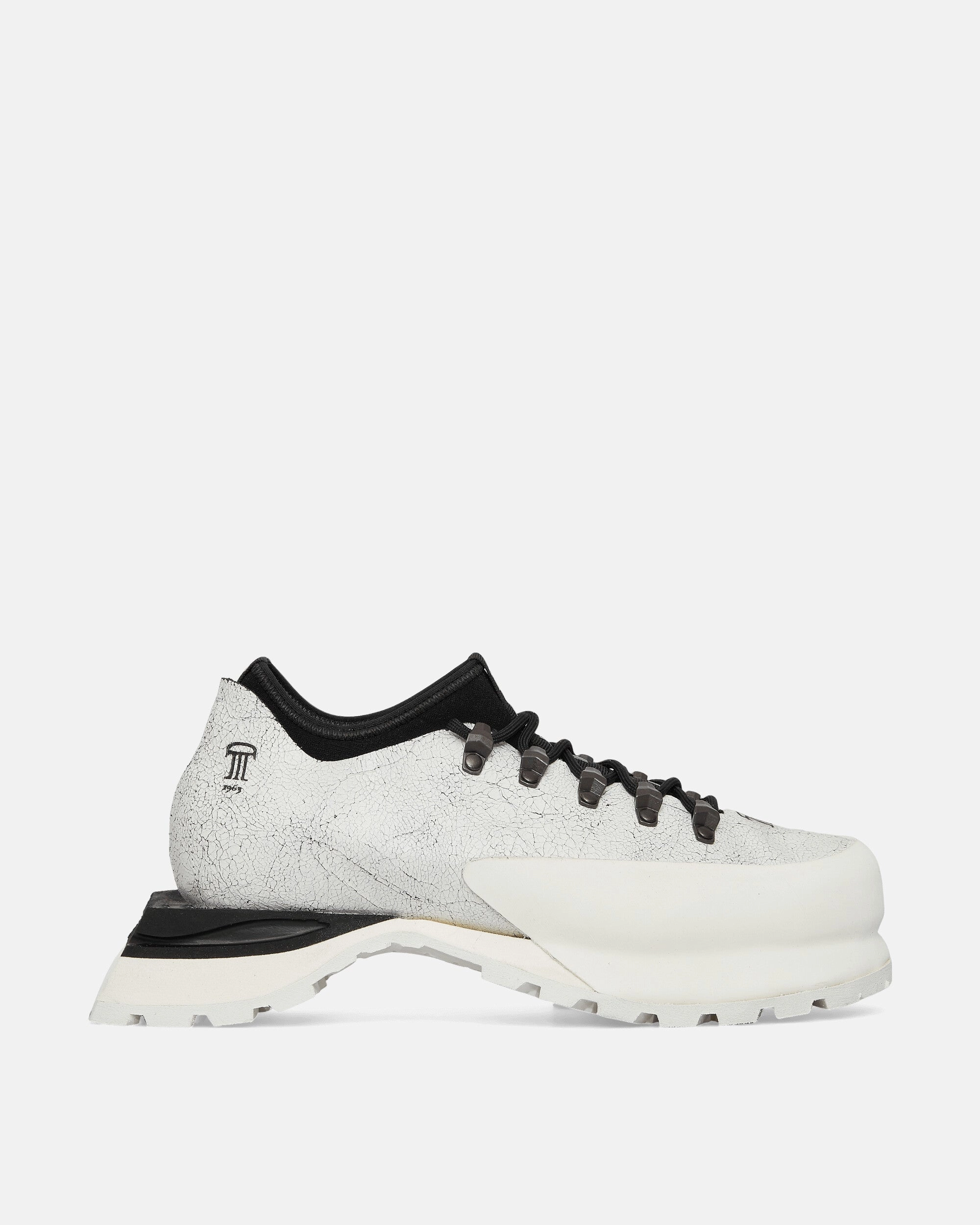 Renegade Evo Gtx Mid Hiking Boots Poyana Leather Boots White