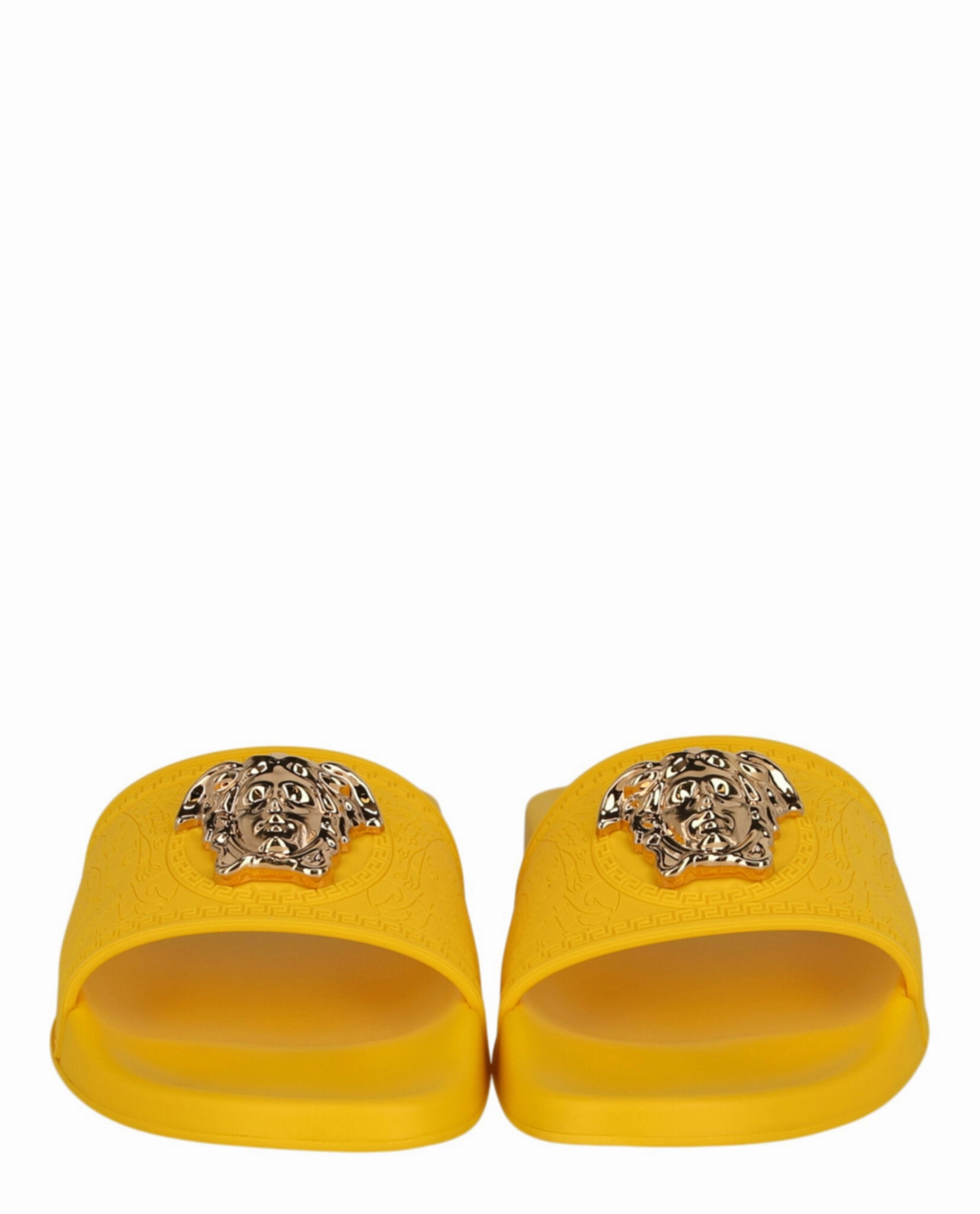 La Medusa Slides Ruby Slippers Oakleaf Hydrangea