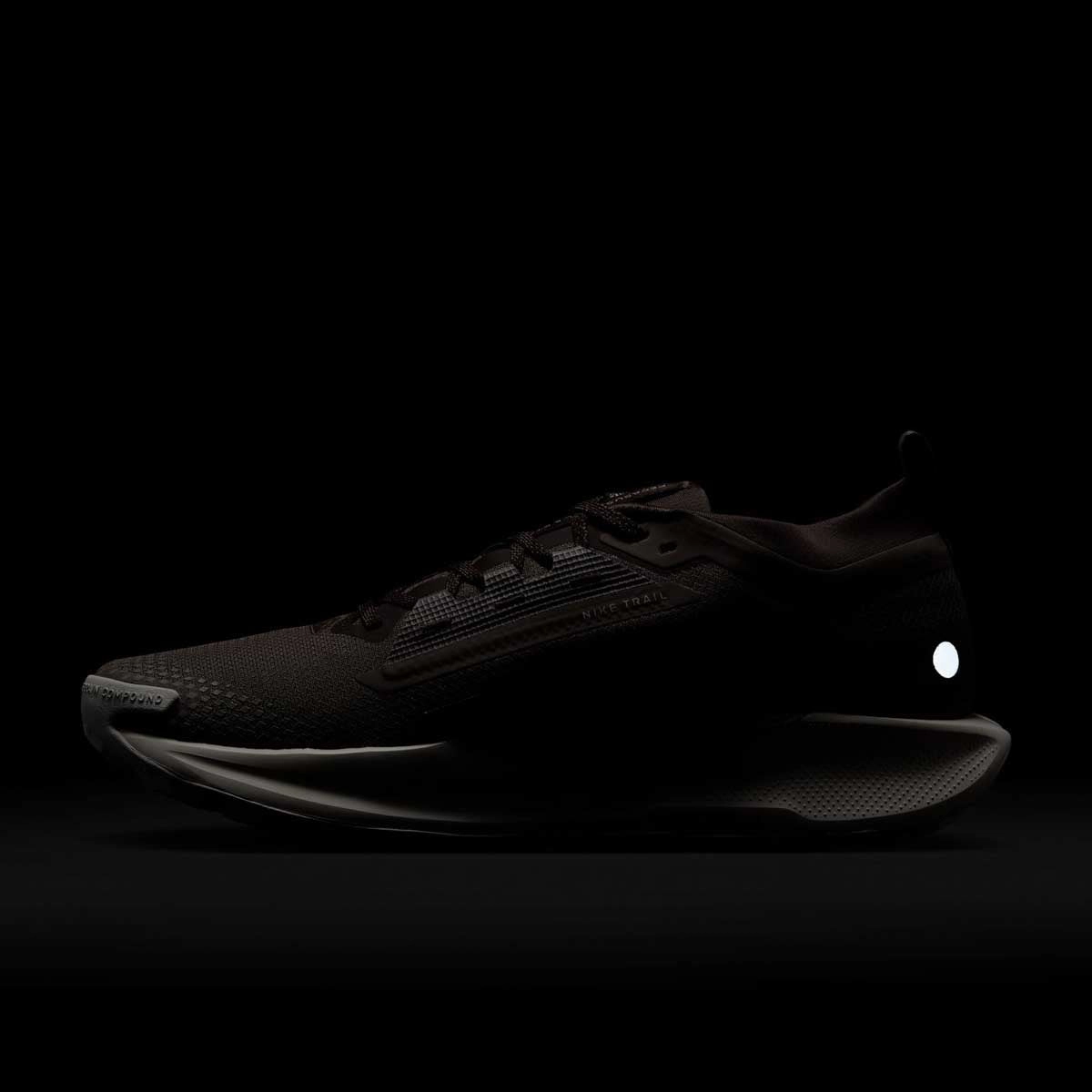 REACTX PEGASUS TRAIL 5 GORE-TEX SP 'Mink Brown Moon Particle' Best Trail Running Shoes 2017