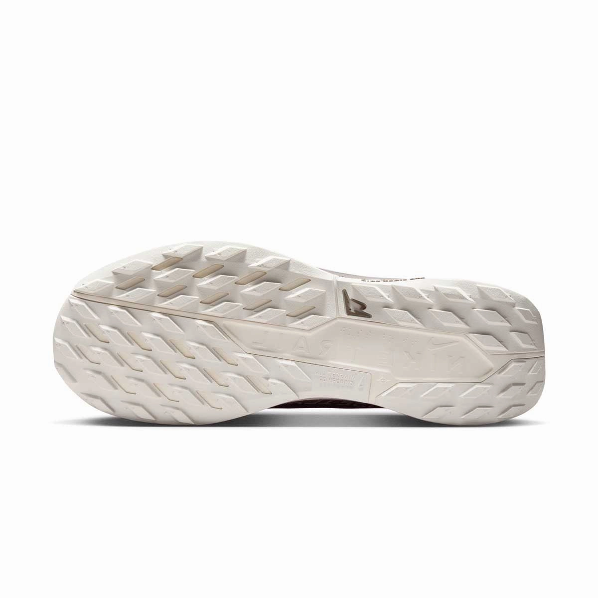 Runner's World Best Trail REACTX PEGASUS TRAIL 5 GORE-TEX SP 'Mink Brown Moon Particle'