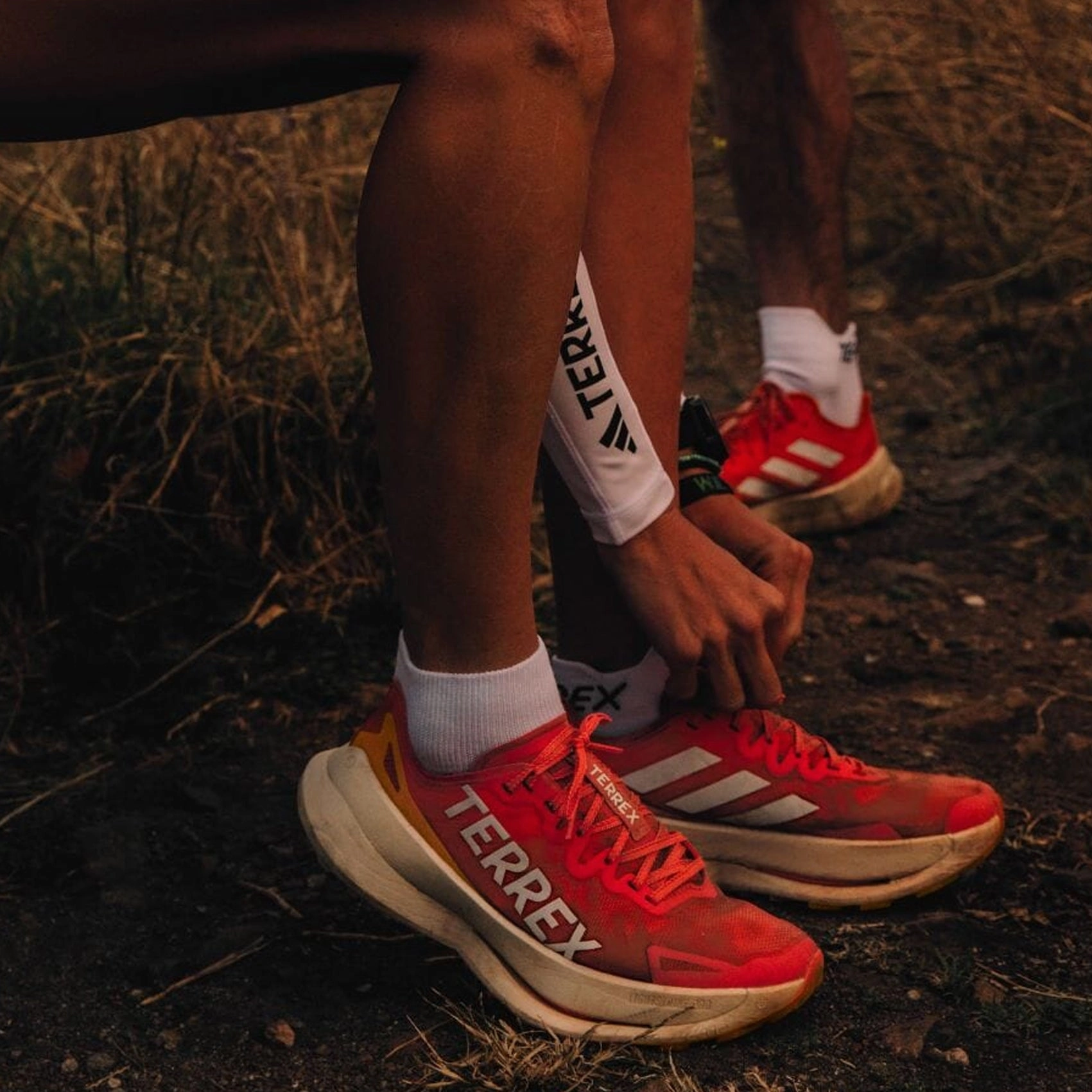 Trail Running Shoes Northampton Womens adidas Terrex Agravic Speed Ultra