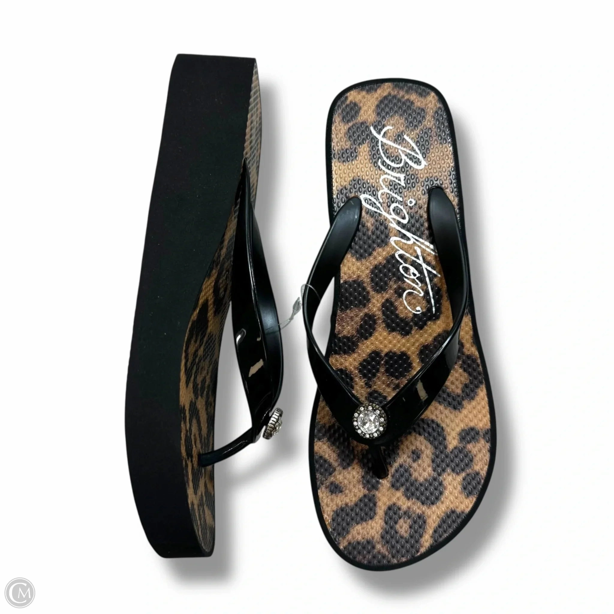 Flip Flops Outlet Sandals Flip Flops By Brighton In Animal Print, Size: 8