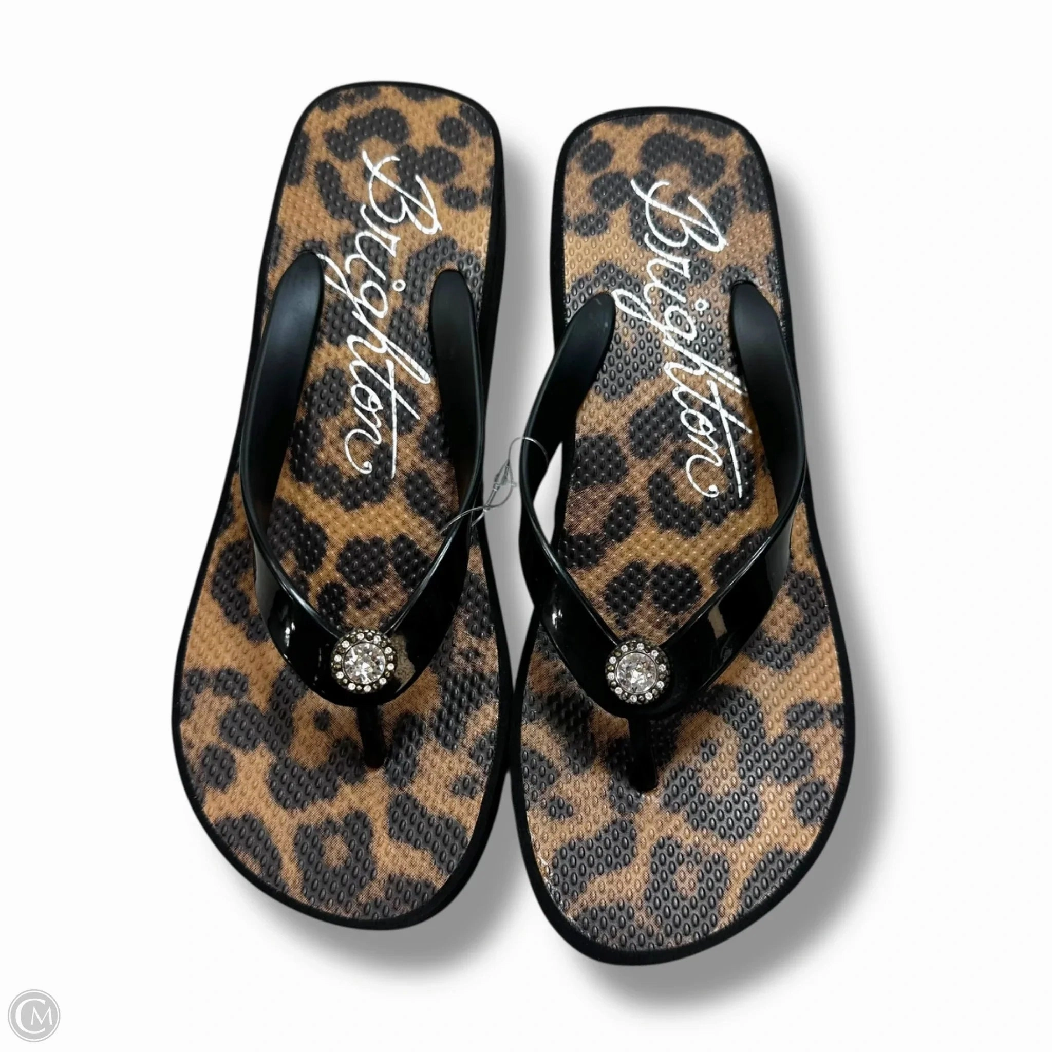 Bostek Platform Flip Flops Sandals Flip Flops By Brighton In Animal Print, Size: 8