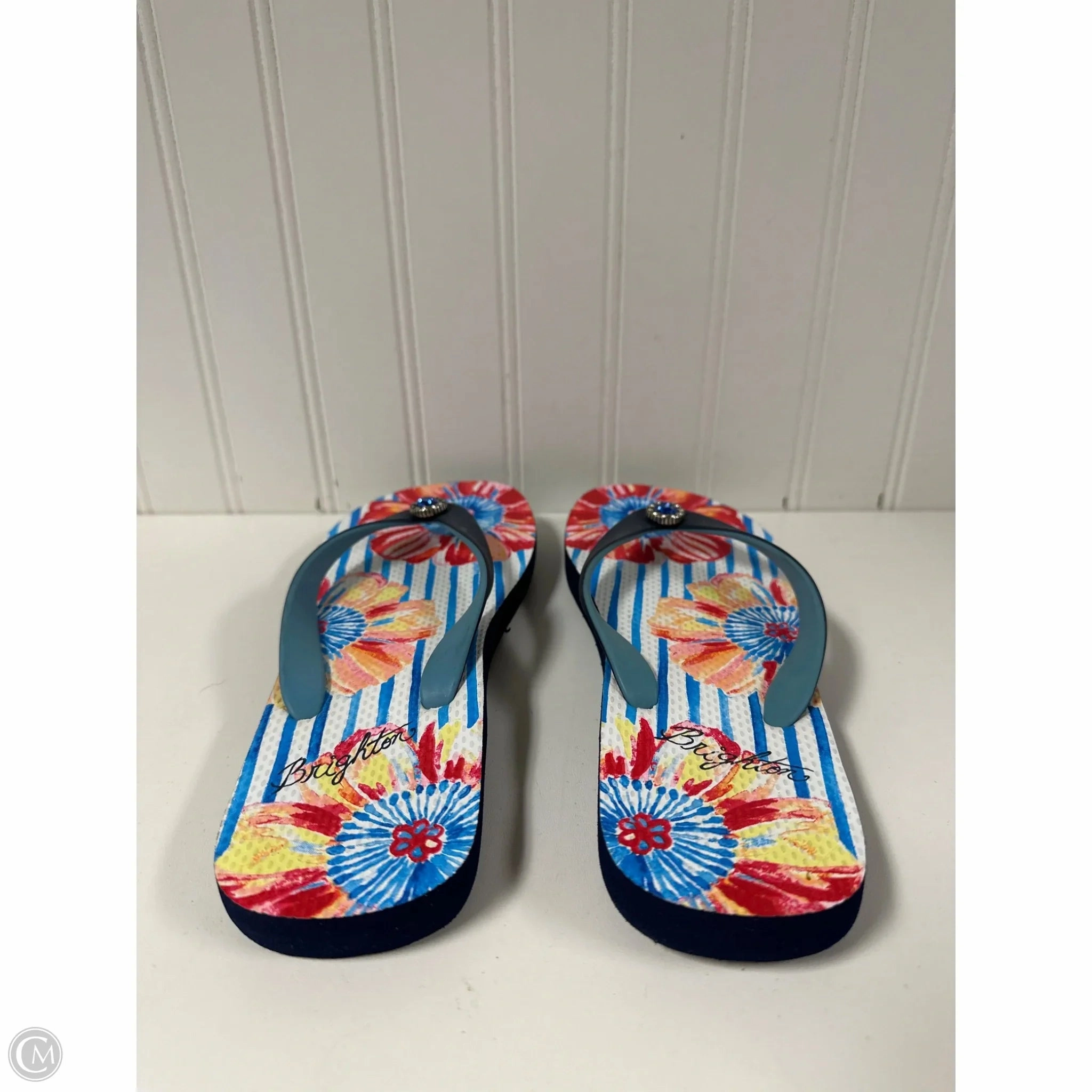 Flip Flops Natural Material Sandals Flip Flops By Brighton In Blue, Size: 8