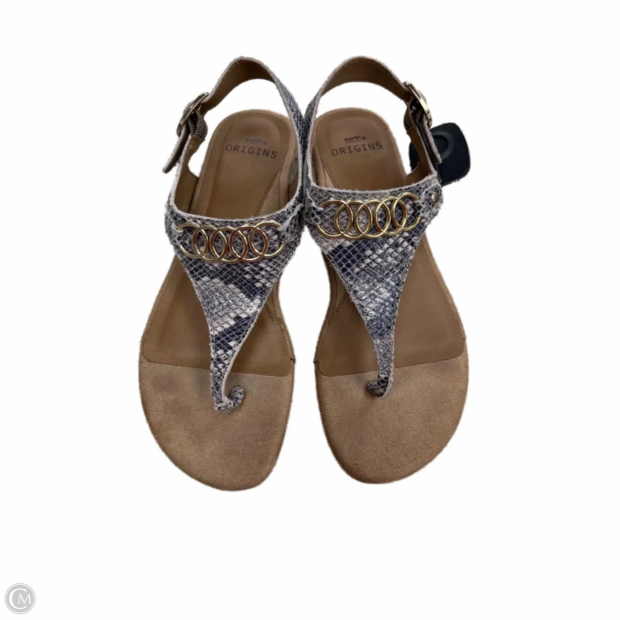 Best Active Flip Flops Sandals Flip Flops By Earth In Snakeskin Print, Size: 7.5