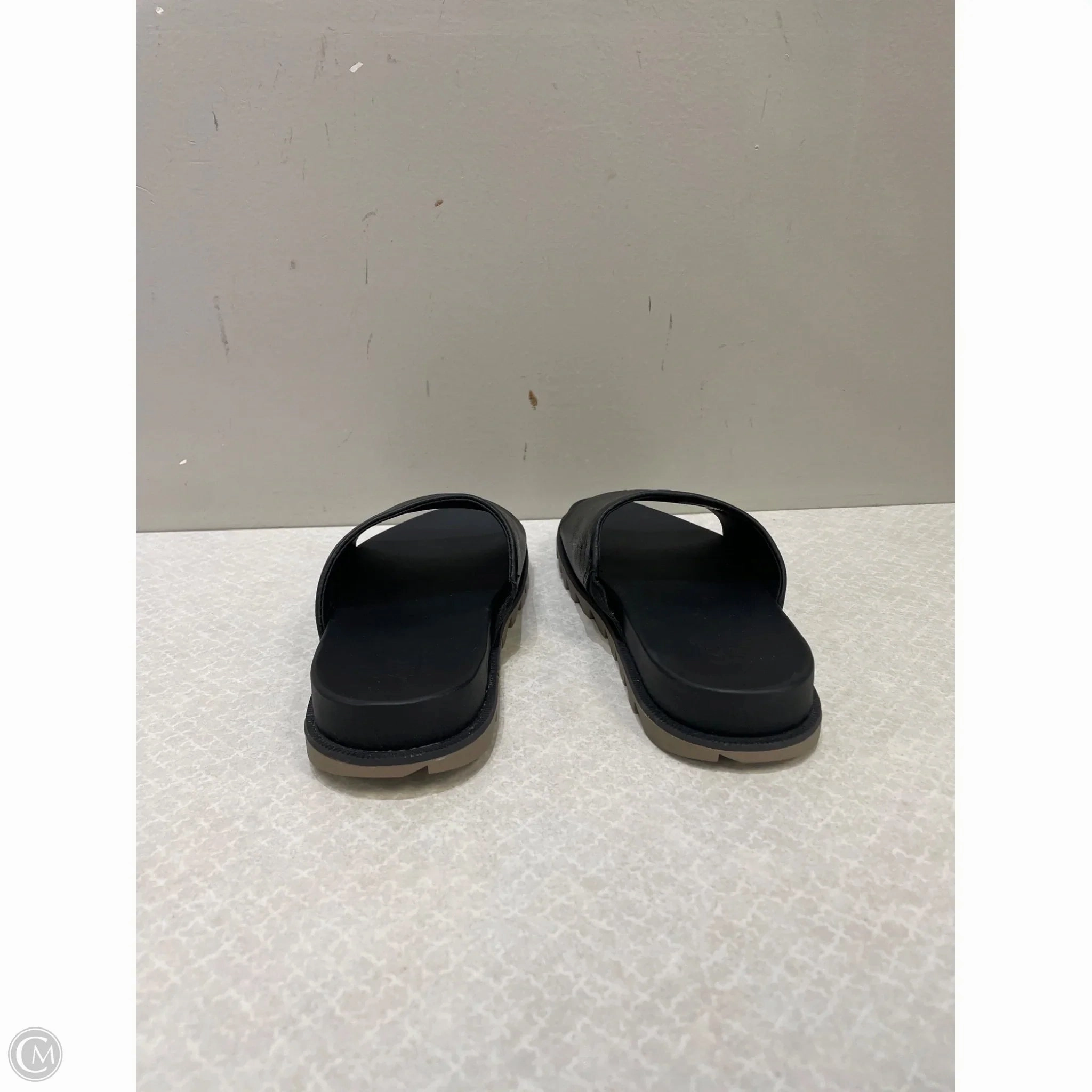 Hey Dude Flip Flops Sandals Flip Flops By Sorel In Black, Size: 5.5