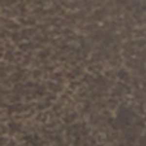 Youth Chelsea Boots Ashtonn