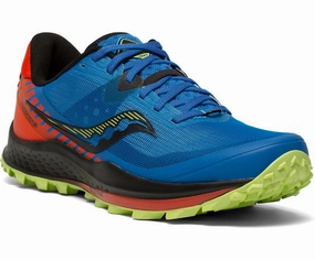Saucony Men's Peregrine 11 Endorphin Trail Health Care Professional Shoe