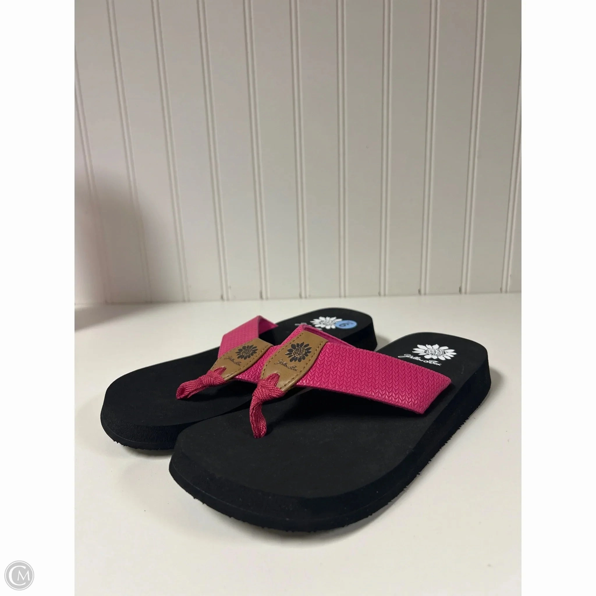 Sandals Flip Flops By Yellow Box In Pink, Size: 6 Margaritaville Flip Flops