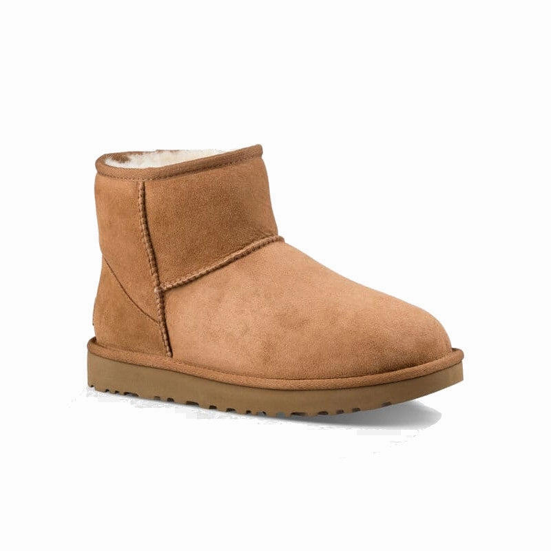 UGG Women's Classic Mini II Boot - Chestnut Aiden Chelsea Boots